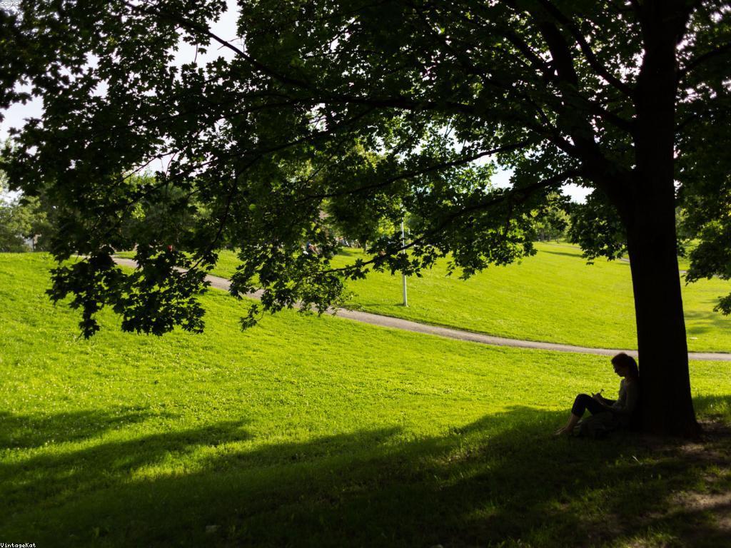 យុទ្ធសាស្ត្រដ៏មានប្រសិទ្ធភាពសម្រាប់ការបង្កើតខ្លឹមសារ