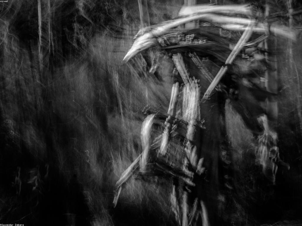 ការយល់ដឹងថ្មីៗអំពីព័ត៌មានថ្មីៗ