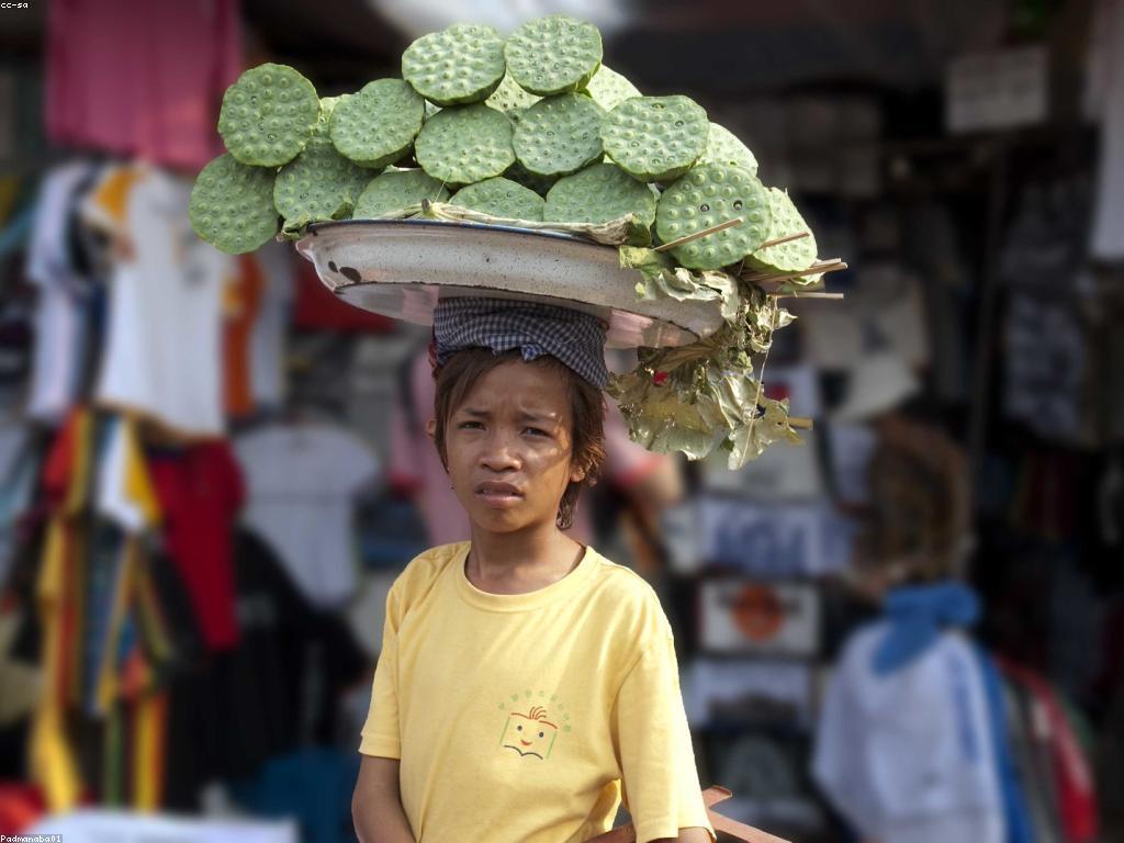 ព័ត៌មានថ្មីៗ៖ ការអភិវឌ្ឍន៍នានានៅស្រុកកម្ពុជា